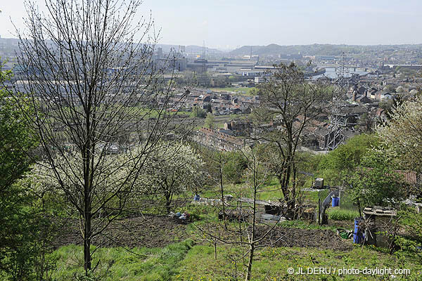 banlieue de Liège